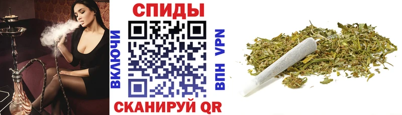 Купить где  Апшеронск  Бутират Butirat 