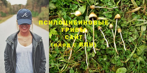 молекула духа Кукмор