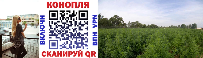 Каннабис семена Купить Апшеронск